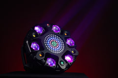 War Shadow Six-Arm Dyeing Model 